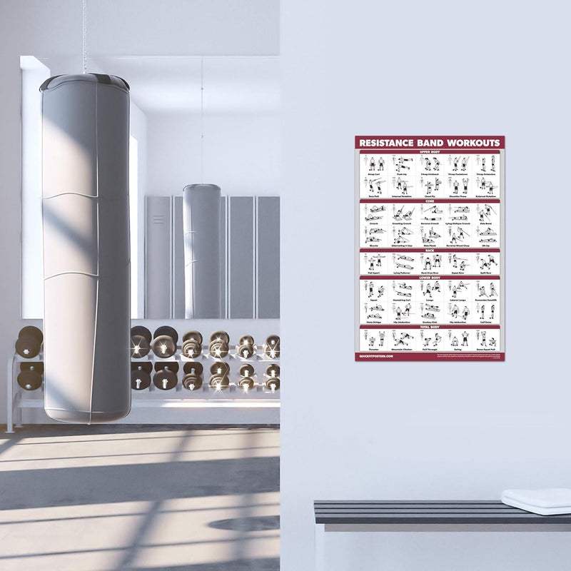 Palace Learning 4 Pack - Resistance Bands Workout Exercise Posters Volume 1, 2 & 3 + Resistance Loops Fitness Chart (LAMINATED, 18" x 24") - Image 4